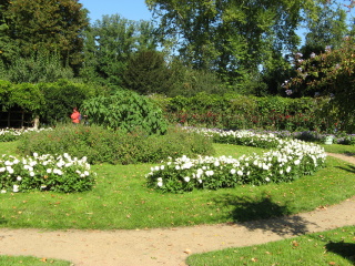 Pfaueninsel Potsdam